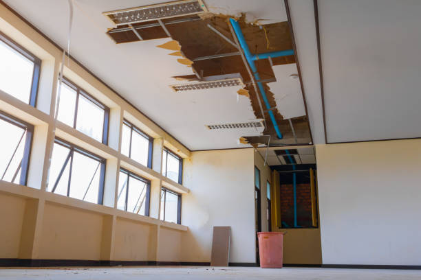 Best Water damage restoration cost  in Spurgeon, TN