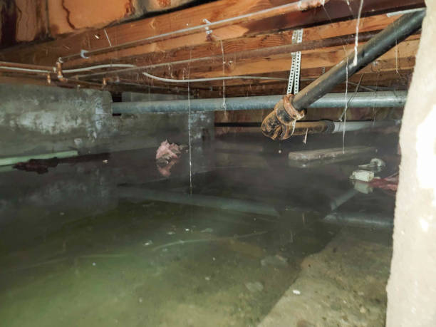 Best Sewage cleanup and water damage restoration  in Spurgeon, TN