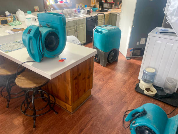 Best Water damage contractors near me  in Spurgeon, TN