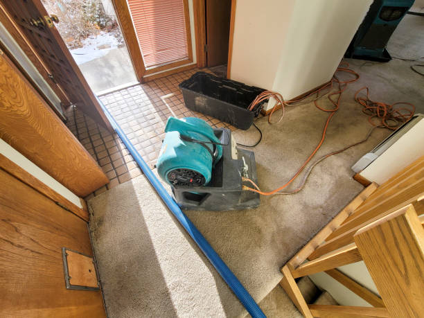 Best 24/7 water damage repair  in Spurgeon, TN