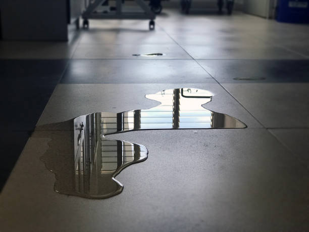 Best Commercial water damage restoration  in Spurgeon, TN
