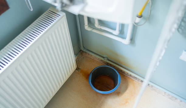 Best Local water damage restoration  in Spurgeon, TN