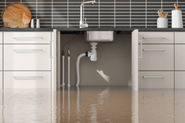 Sewage cleanup and water damage restoration in TN